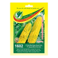 Benih Jagung Manis Asia Best F1 1602 GREEN EAGLE (500gm)
