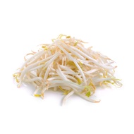 Beansprout / Taugeh (200g)