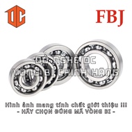 FBJ Bearing 6207 6007 6304 6305 6203 6202 6004 628 6200 625 699 6204 6002 696 686 6009 608 638 683 6