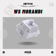 [READY STOCK] Wuque Studio WS Morandi Linear Switches Switch for Mechanical or Gaming Keyboards - Li