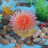 Children Simulation Science Education Ocean Undersea Animal Toy Model Ornaments Solid Anemone Zebra 
