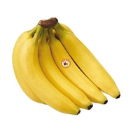 DUTA BUAH PISANG CAVENDISH (900G-1KG/4-6buah)