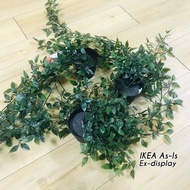 AS-IS ITEM FEJKA pokok tiruan/ Hiasan