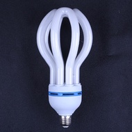 Sakes Energy Saving Electronic Florescent lamp 85W