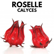 Fresh Roselle Calyces | Bunga Roselle | 洛神花 (+/- 1KG) Organic Fresh Fruits [Klang Valley]