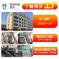 Lvwo Citric Acid Soil Acid Regulator Special Powder for Tea Flowers Flowers Blueberries Succulent Un