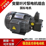 Oil Pump 4030 Combination Hydraulic 0.75kw Motor Electric Blade Pump 1.5kw with vp20 Assembly 2.2kw 