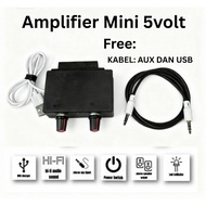 5 volt stereo Mini Amplifier with clear sound