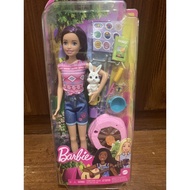 barbie it takes two skipper