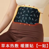 Professor Miao Steam Hot Pack Knee Warming Stickers Waist Warming Stickers Warming Neck Plaster Foot