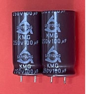 Capacitor 100uF250V [COMBO OF 10] tu100uF Capacitor 250V