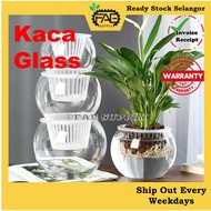 Pasu Bunga kaca bulat Glass vase Indoor Hydroponic Flower vase round fish aquarium