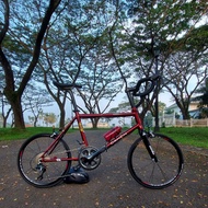 Rare item dahon dash