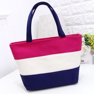 Fashion Hand Hall Canvas Small Square Bag