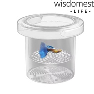 WISDOMEST Aquarium Isolation Box, Detachable Transparent Floating Hatching Box, Shrimp Guppy Acrylic