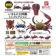 ❤里昂玩具部❤ BANDAI 甲殼類01 大全套7款 含蛋殼蛋紙 全新未拆 生物大圖鑑
