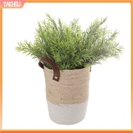 yakhsu|  Simulation Plant Realistic Lifelike No Watering No-withering Non-fading Vivid Flower Arrangement Fake Asparagus Setaceus Household Supplies