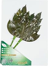 A&K SKK-011 Special Sakaki Preserved SV Pair, Made in Japan, SV Size, 1 Pair, Approx. Height 11.0 x 