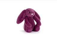 100% Original Bashful Bunny Jellycat Plushie