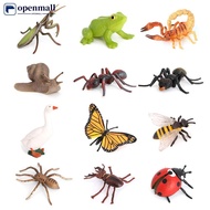 【OMALL】 Educational Life Cycle Toys Realistic Animal Models Collection Insect Frog Spider Ducks Gees