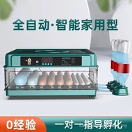 Weizhen Incubator Automatic Household Type Ludding Chicken Incubator Chicken Duck Goose Pigeon Quail Incubator Smart Small Medium Egg Incubator