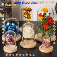 BUTUTU Glass cloche Terrarium Tabletop Plants Terrarium Jar Transparent Bottle Flower Storage box