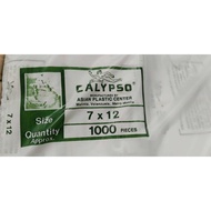 1ream 10x100's 7x12 Calypso PP .0004 thin plastic