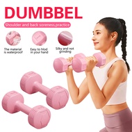 Dumbell 1kg/2kg/3kg Gym Dumbbell Exercise Fitness Exercise Home Weight Training Workout Neoprene Dum