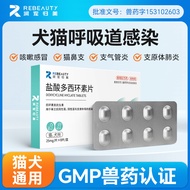犬猫药盐酸多西环素片狗狗鼻支治疗药宠物咳嗽药猫咪感冒药犬窝咳Dogs and Cats Doxycycline Hydrochloride Tablets Dog Nasal Branch Treat