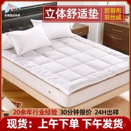 Direct Supply Bedding Hotel Comfortable Cushion Three-Dimensional Thickened Manufacturer Mattress St