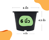 กระถางต้นไม้ กระถางพลาสติก กระถางต้นไม้พลาสติก กระถางแคตตัส กระถาง 4นิ้ว 6นิ้ว 8นิ้ว 10นิ้ว 12นิ้ว 1