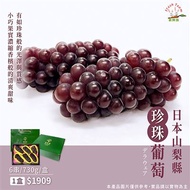 (水果)裕毛屋空運日本山梨縣珍珠葡萄6串/730g/盒