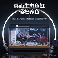 Tangki Ikan Akuarium Besar Landskap Desktop Tangki Ekologi dengan Tiub Akuarium Plastik Lutsinar Rin