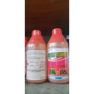 ERADICATE GRASS 495 SL 1 lt PACKAGING