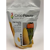 Crop Power SS 932 F1 Hybrid Sweetcorn 500g