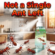 🐜No More Ants🐜 Ant killer spray semut Ubat semut Racun semut Indoor & Outdoor Use Anti ant ant spray
