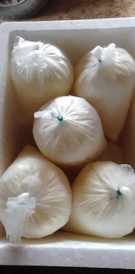 [ส่งฟรี] [ส่งทุกวันพุธ] นมแพะแท้ ๆ สด ๆ / นมแพะดิบ จากฟาร์ม นมแพะแท้ 100% (ราคาที่ลงรวมค่ากล่องโฟม+ค่าส่งแบบแช่แข็งแล้ว) ขั้นต่ำ 9 โล Fresh Goat Milk from Farm (Freeze before send by foam box) [minimum 9 kg.]