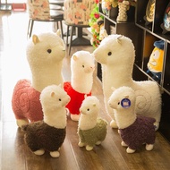 Teddy bear Stuffed animal - Alpaca wearing colorful clothes