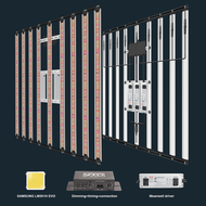 240W/800W/1000W แสงปลูกพืช Samsung lm301h evo Meanwell Driver