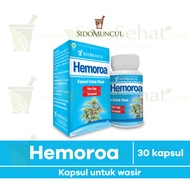 Hemoroa SidoMuncul - Untuk Wasir