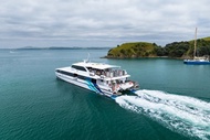 Rangitoto Island Ferry Tickets from Auckland