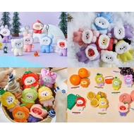 BT21 mini minini Fruit Series Doll WINTER Series Doll Doll Charm BTS BTS