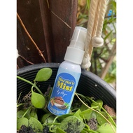 martins mist spray eczema