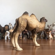 French papo Animal Model Twin Peaks Camel Length 12cm Height 9cm Early Education Cognitive Simulatio