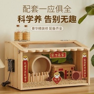 Kotak Breeder Brooder chicken Bird Box kotak puyuh anak ayam Hamster breeding box Chicken Quails But