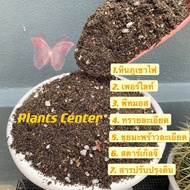 Plants Center พร้อมส่ง(1 กิโลกรัม) ดินปลูก แคคตัส กระบองเพชร (ผสมสำเร็จ) ผสมครบทุกอย่าง ไม่ต้องซื้อแยก ขนาด 1 กิโลกรัม