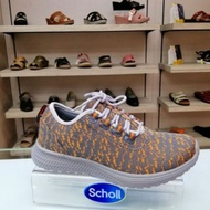 Scholl Biomechanics.