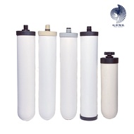 Customized Adaptation DOULTON Dalton2504/5504;M10/M12/M15Ceramic Filter Element Special Water Filter