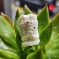 082906 Root With Zakiram DiY First Choice 20.5mm X 12.5mm X 13.5mm