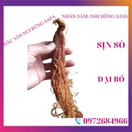 Ginseng (RED GINSENG) SUPER VIP TYPE 55gr/root (18 roots/kg) is sticky, delicious, easy to eat, nutr